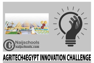 AgriTech4Egypt Innovation Challenge 2024