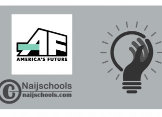 Amecrica's Future Fellowship Summer 2024