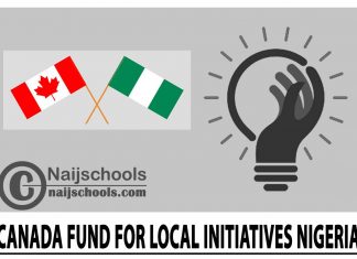 Canada Fund for Local Initiatives Nigeria 2024