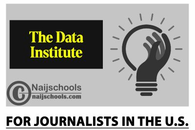 Data Institute 2024 for Journalists in the U.S.