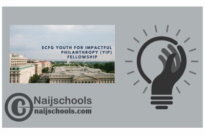 ECFG Youth for Impactful Philanthropy (YIP) Fellowship  2024
