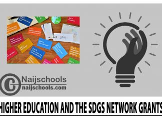 Higher Education and the SDGs Network Grants 2024 Higher Education and the SDGs Network Grants 2024