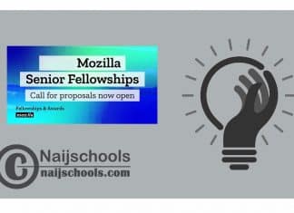Mozilla Senior Fellowship Program 2024