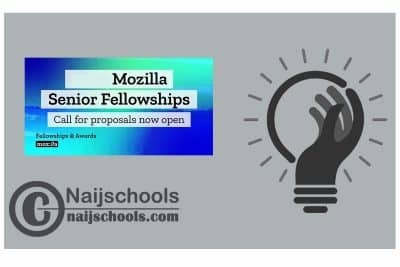 Mozilla Senior Fellowship Program 2024
