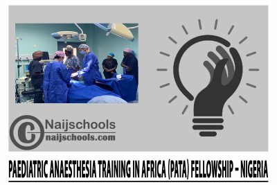 Paediatric Anaesthesia Training in Africa (PATA) Fellowship – Nigeria 2024/25