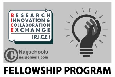  Research Innovation & Collaboration and Exchange (RICE) Fellowship Program 2024