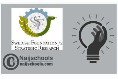 SSF Industrial PhD student 2024