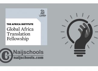 The Africa Institute Global Africa Translation Fellowship 2024
