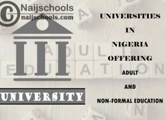Universities in Nigeria Offering Adult and Non-Formal Education