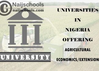 Universities in Nigeria Offering Agricultural Economics/Extension