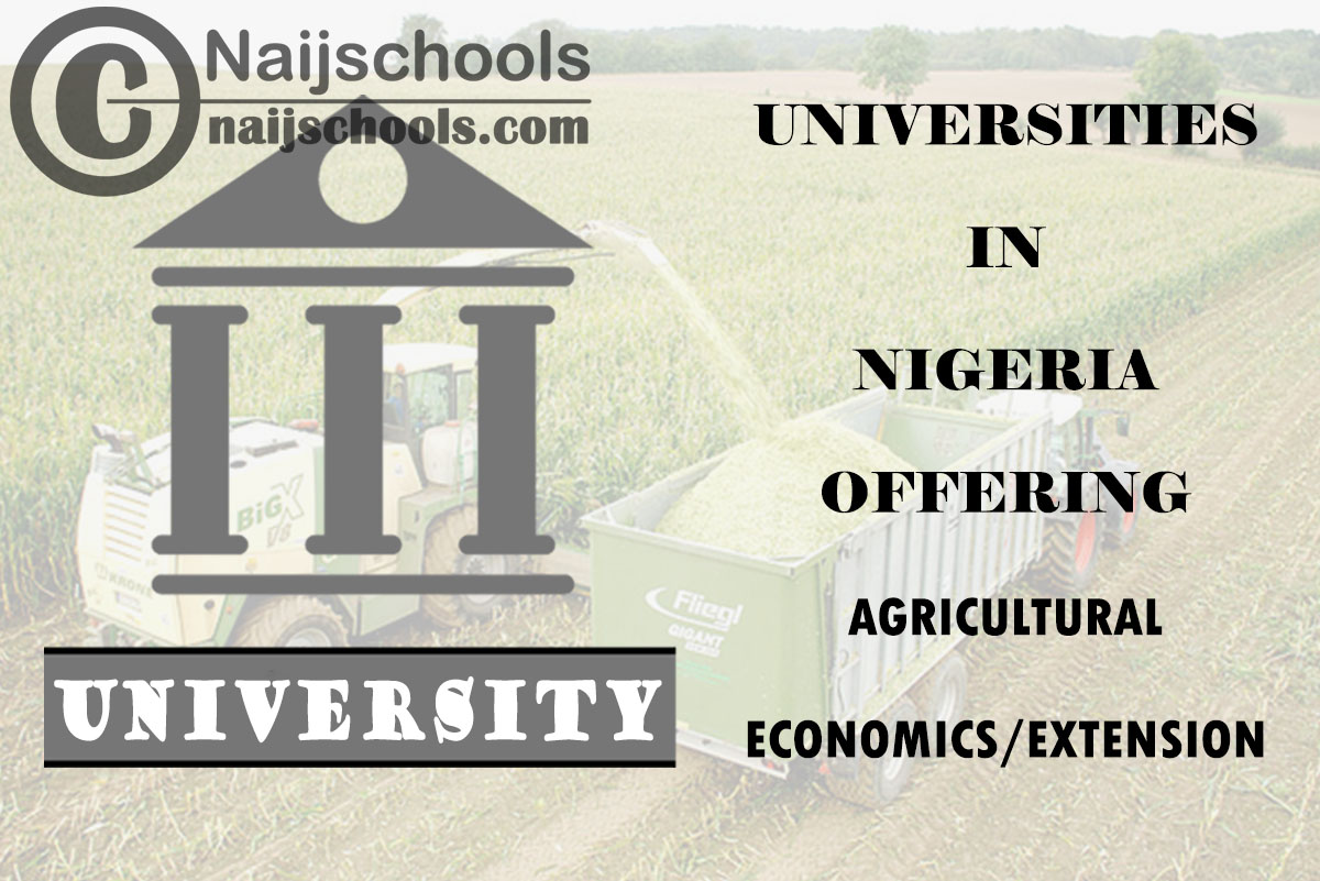 Universities in Nigeria Offering Agricultural Economics/Extension