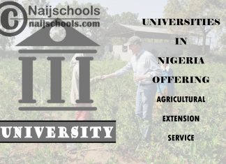 List of Universities in Nigeria Offering Agricultural Extension Service