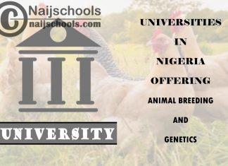 Universities in Nigeria Offering Animal Breeding and Genetics