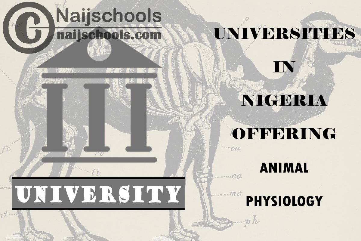 List of Universities in Nigeria Offering Animal Physiology