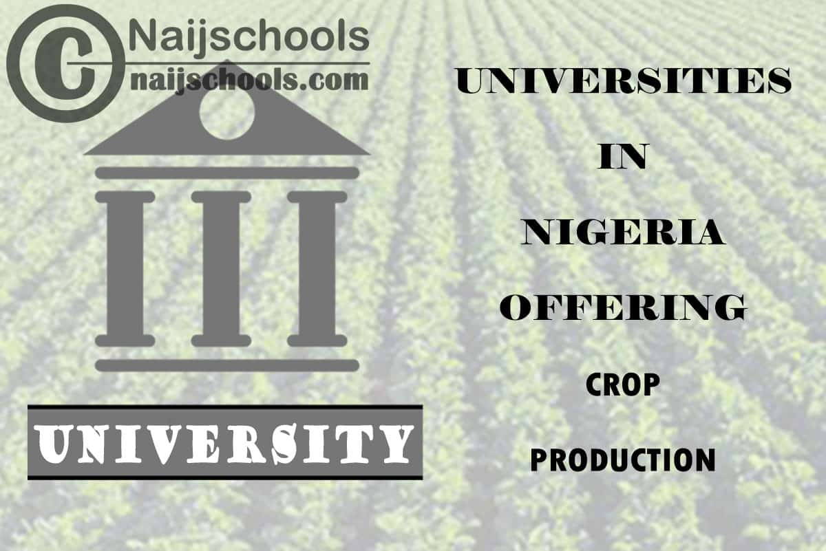 List of Universities in Nigeria Offering Crop Production