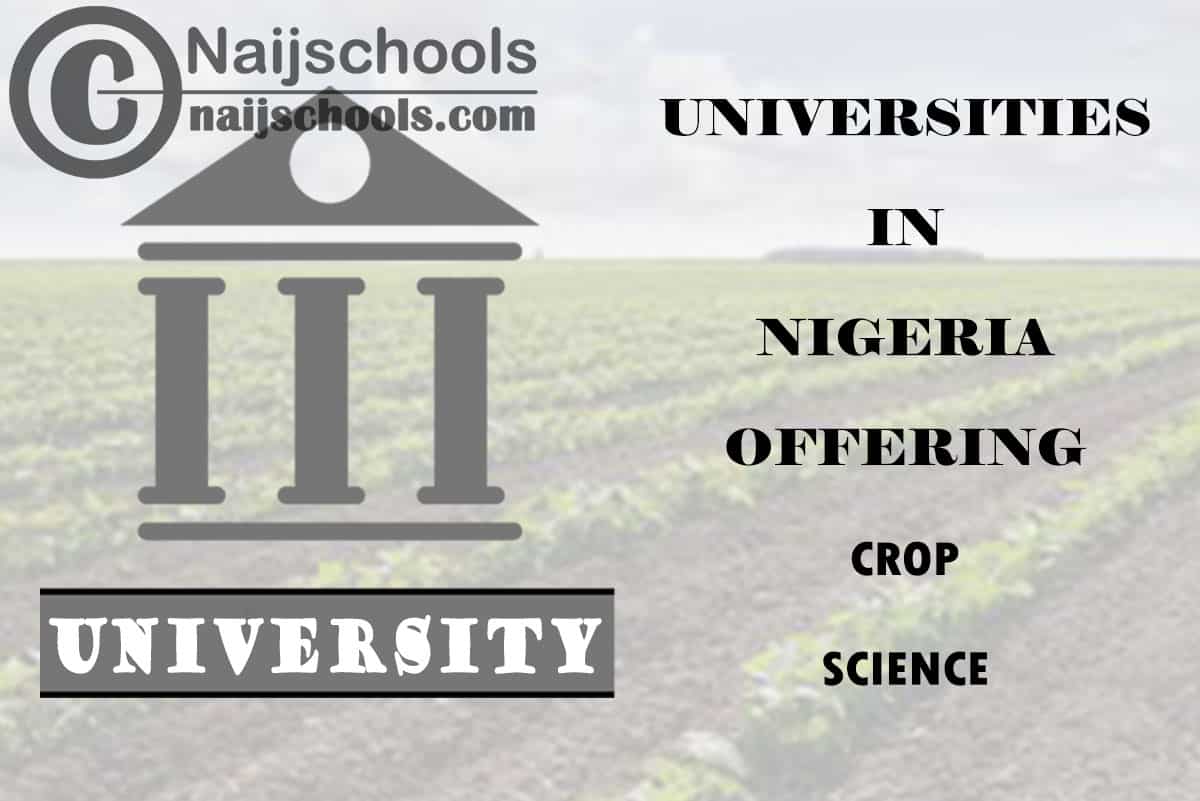 List of Universities in Nigeria Offering Crop Science 
