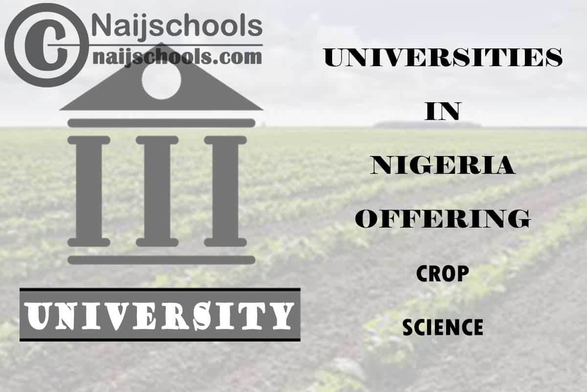 List of Universities in Nigeria Offering Crop Science