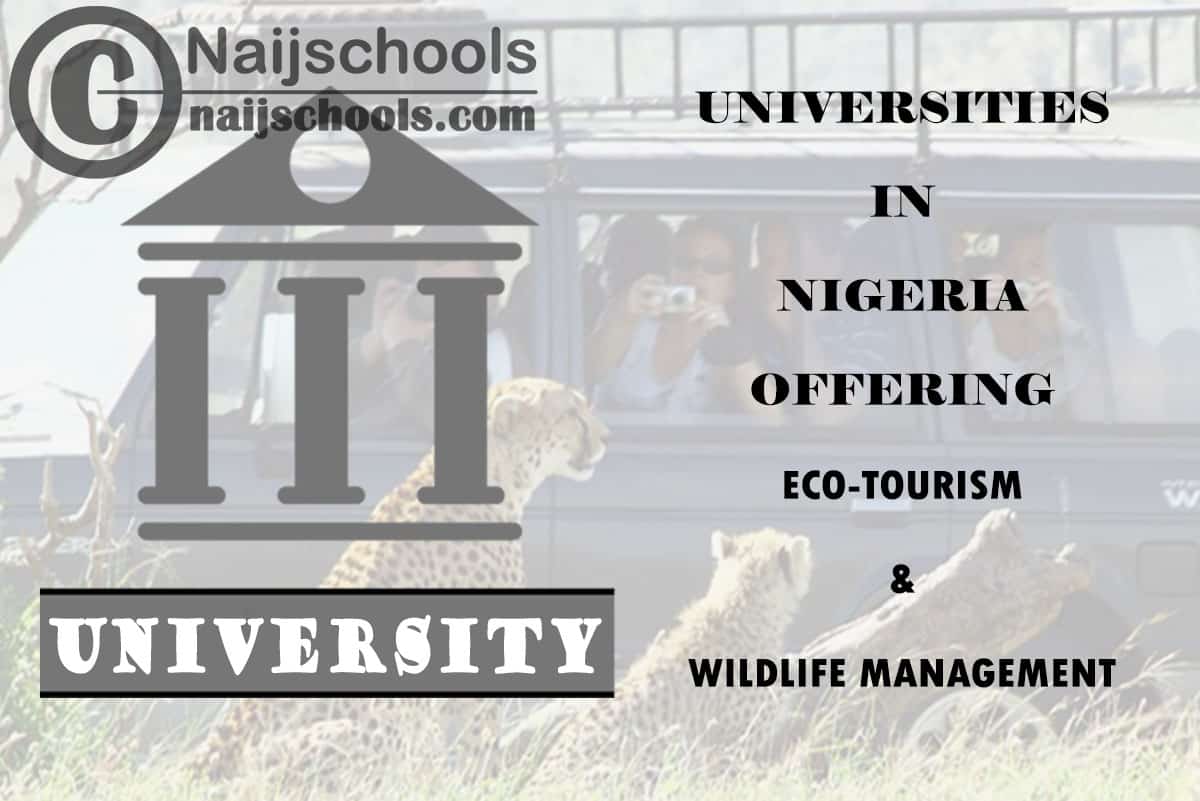 Universities in Nigeria Offering Eco-Tourism & Wildlife Management