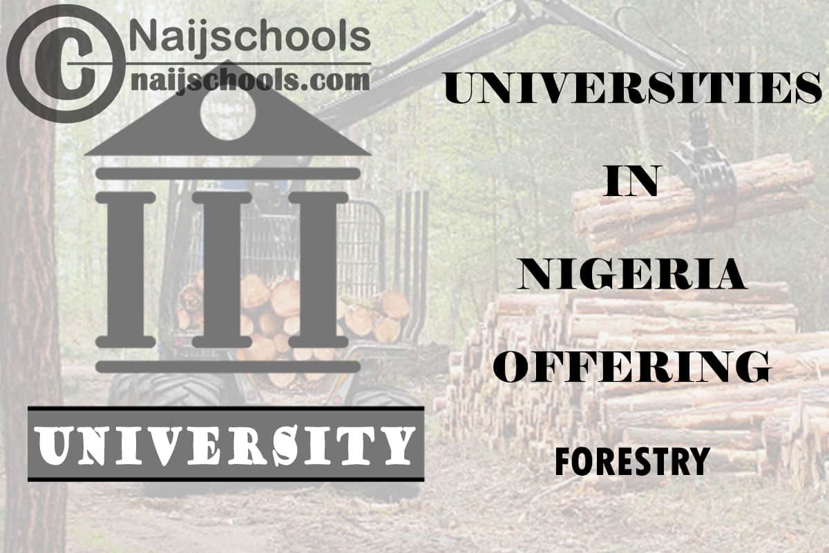List of Universities in Nigeria Offering Forestry