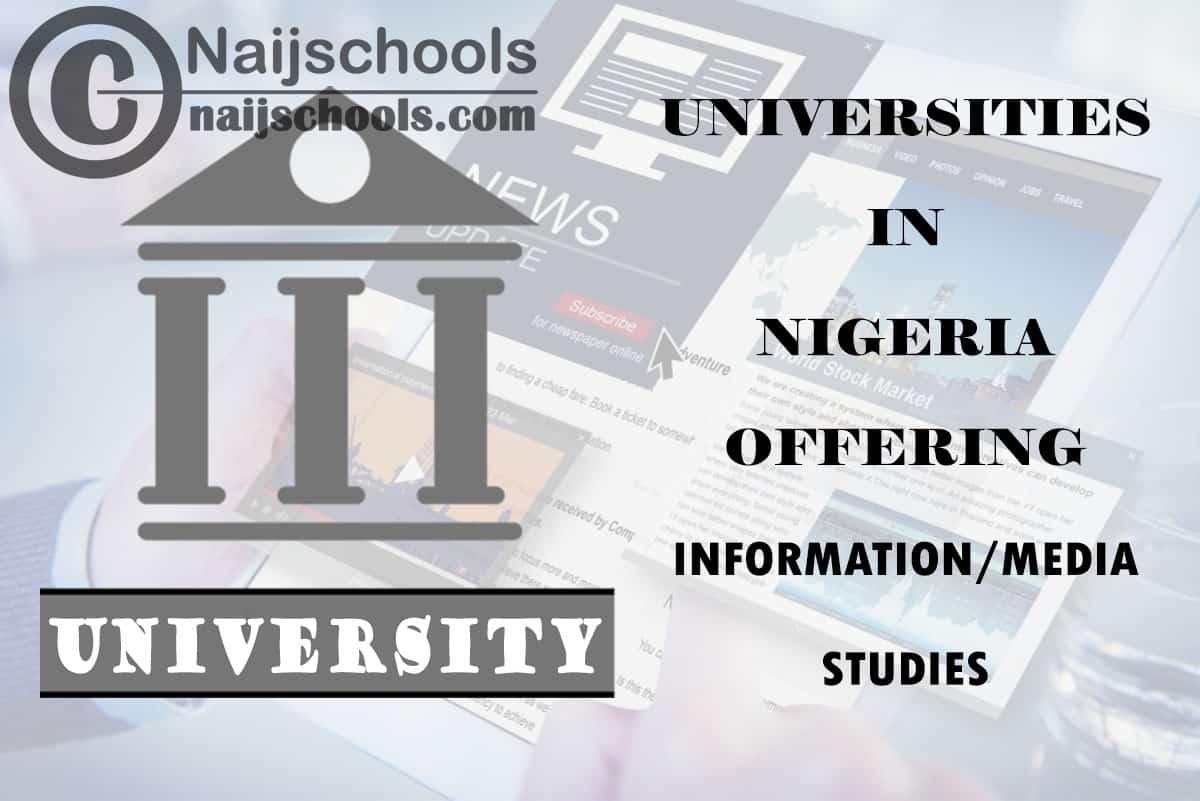 Universities in Nigeria Offering Information/Media Studies