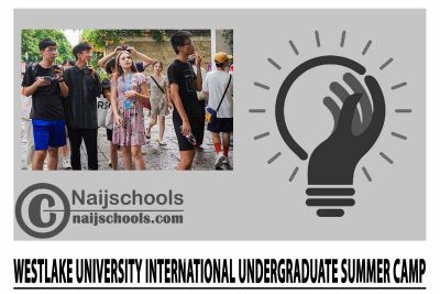 Westlake University International Undergraduate Summer Camp 2024