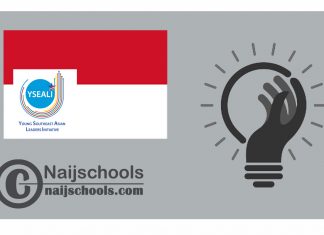YSEALI Academic Fellowship – Indonesia 2024