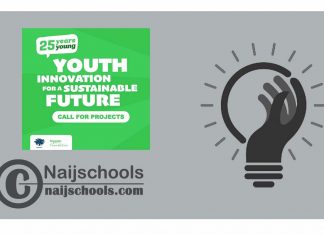 Youth Innovation for a Sustainable Future Program 2024