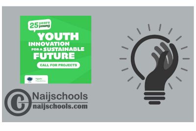 Youth Innovation for a Sustainable Future Program 2024