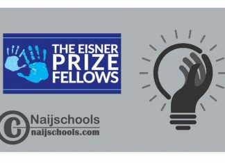 Eisner Prize Fellowship 2024