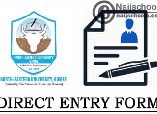 North-Eastern University (NEU) Direct Entry Form 2024/2025