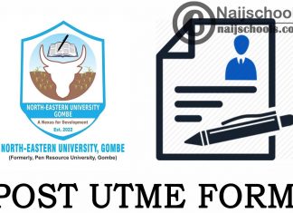 North-Eastern University (NEU) Post UTME Form 2024/2025