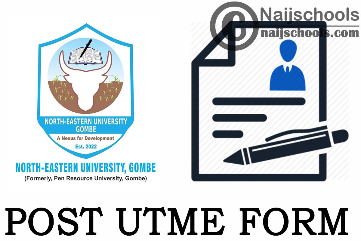 North-Eastern University (NEU) Post UTME Form 2024/2025
