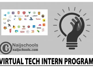 Virtual Tech Intern Program 2024